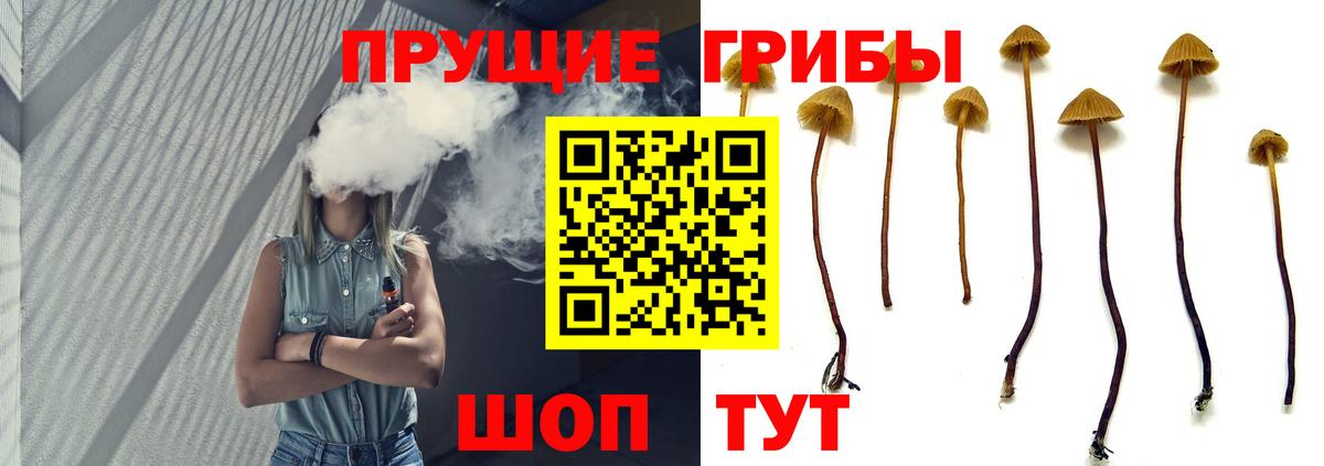 Галлюциногенные грибы прущие грибы Новочеркасск